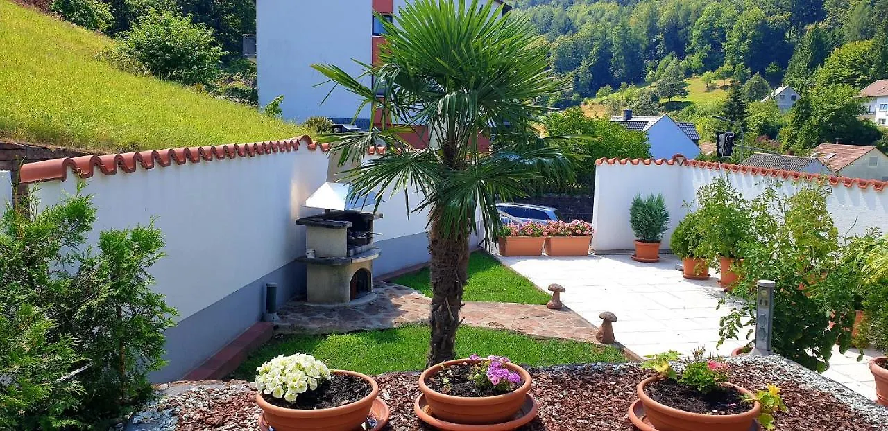 Apartmenthaus Zum Löwen Heidelberg - Ziegelhausen Deutschland