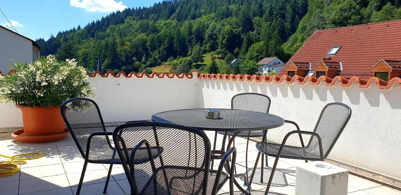 Apartmenthaus Zum Löwen Heidelberg - Ziegelhausen