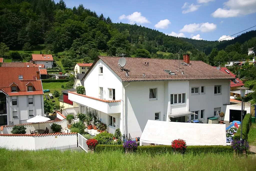 Apartmenthaus Zum Löwen Heidelberg - Ziegelhausen 0*,
