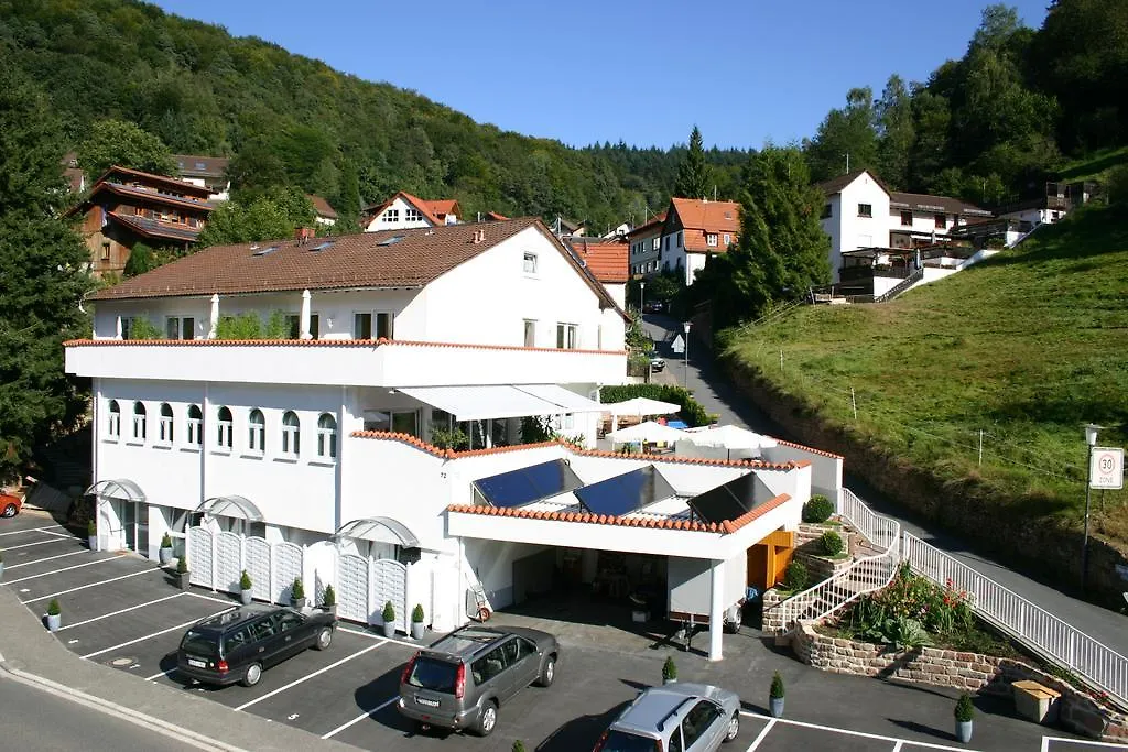 Apartmenthaus Zum Löwen Heidelberg - Ziegelhausen